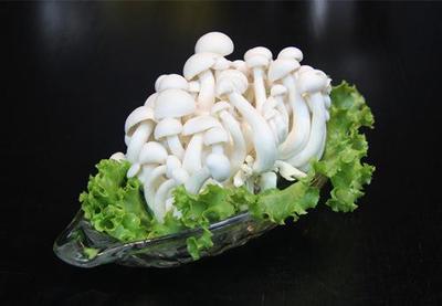 山東廣饒工廠化白玉菇 高科技農(nóng)業(yè)典范，優(yōu)質(zhì)農(nóng)產(chǎn)品遠(yuǎn)銷海外