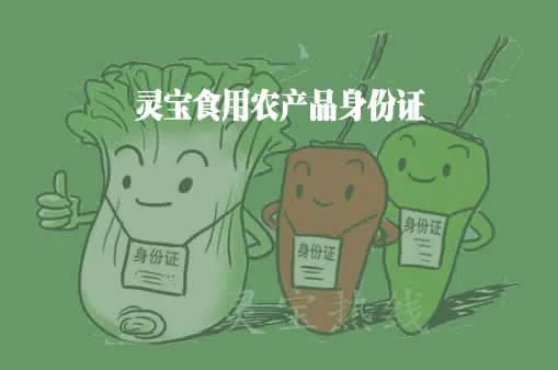 食用農產品合格證制度研究與試點 守護舌尖安全的創新之路